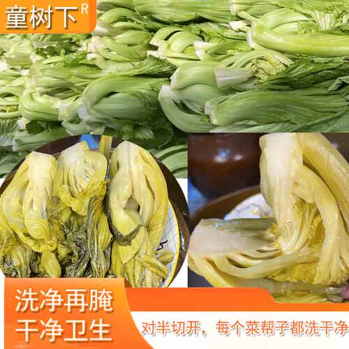 广西乳酸菌酸菜发酵3斤农家自制 非土坑酸菜鱼酸菜 腌芥菜下饭菜 - 图2