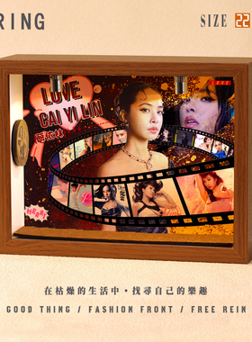 蔡依林周边专辑相框小屋小纪念创意音乐造景手工礼物微缩装饰摆件