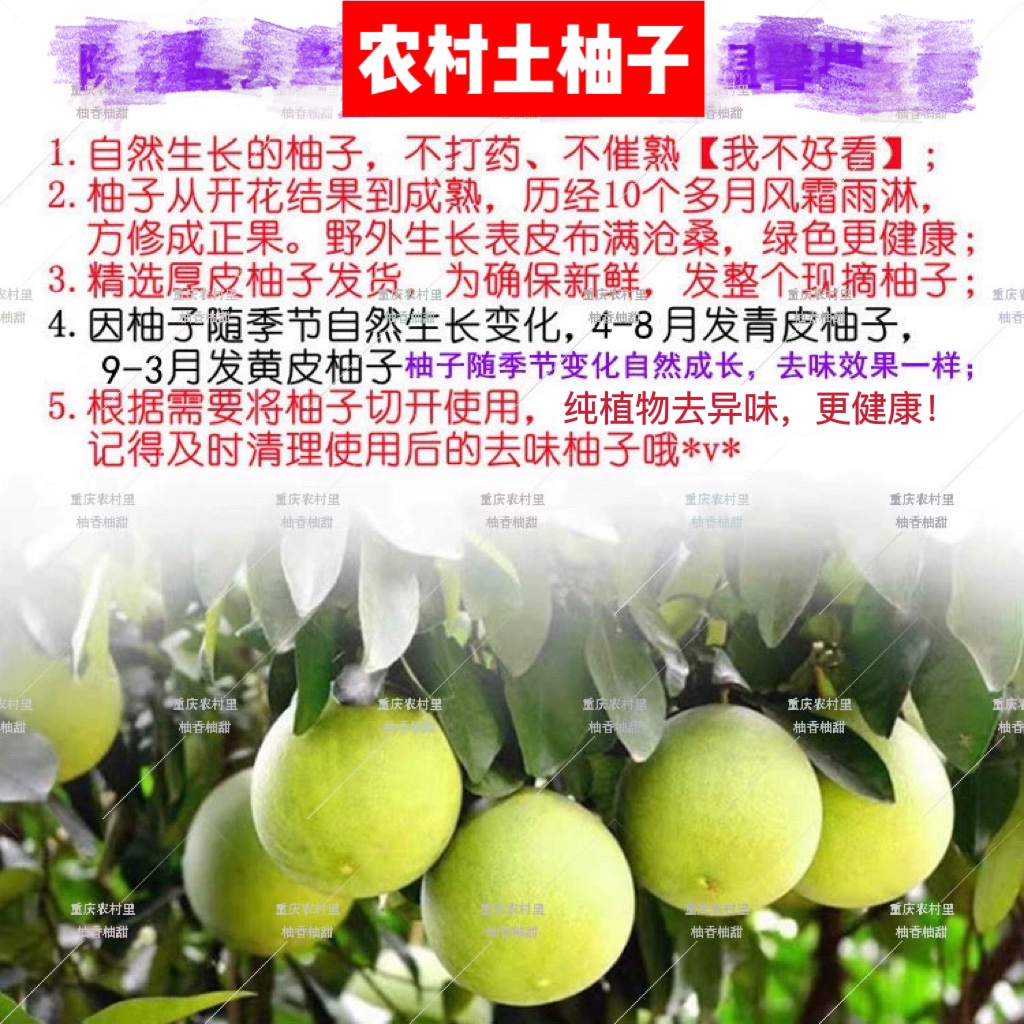 重庆土柚子纯植物去异味柚皮清香新鲜新房装修新车除味整个柚子果 - 图2