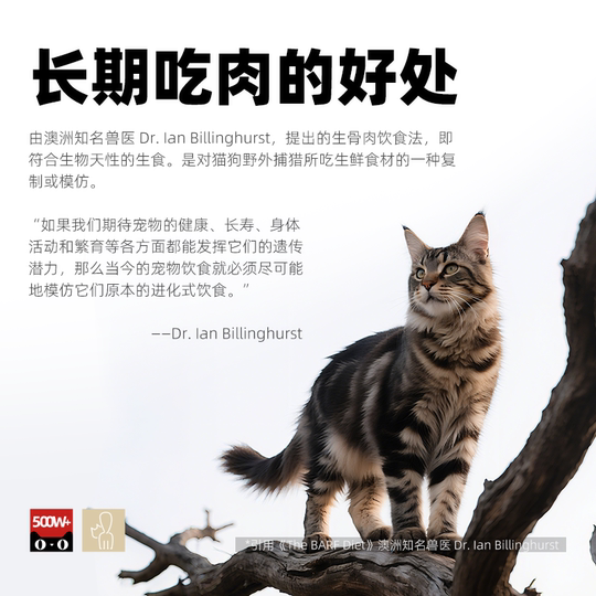 Сырое мясо домашних животных, свежее мясо для кошек и собак.