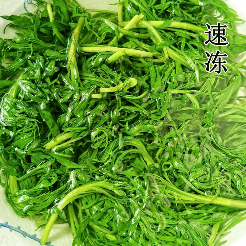 顺丰包邮东北柳蒿芽新鲜柳蒿速冻发货野生新鲜山野菜食用农产品 - 图2