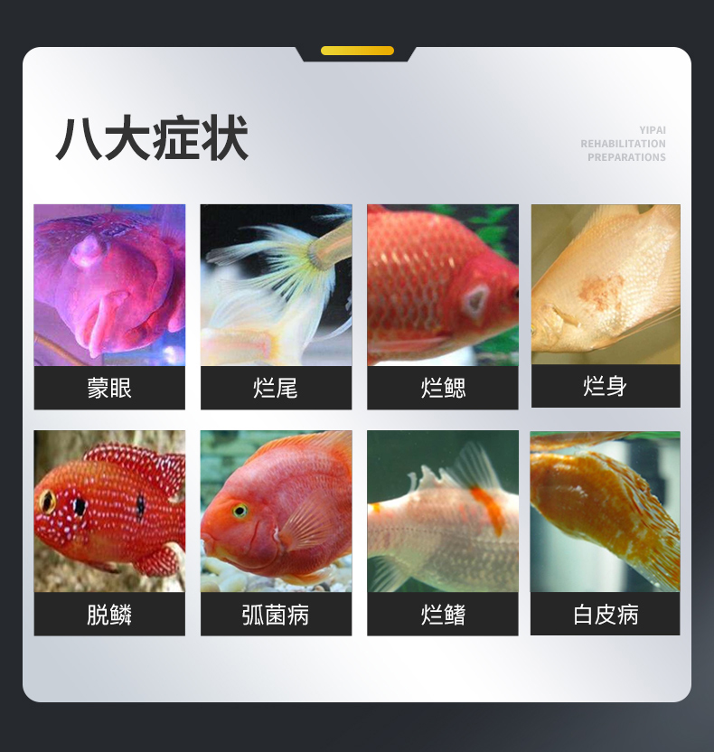 日本黄粉鱼药斗鱼蒙眼肠炎烂身烂尾白点净治疗水族鱼缸消毒杀菌 - 图0