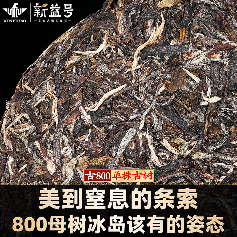 冰岛普洱茶生茶2024新茶春茶新益号古800单株古树云南七子饼茶叶 - 图1