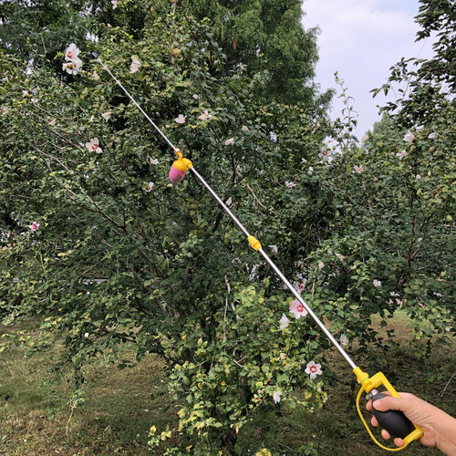 果树花粉授粉器干粉喷粉器苹果梨杏李子猕猴桃树罗汉果点花神器机 - 图1