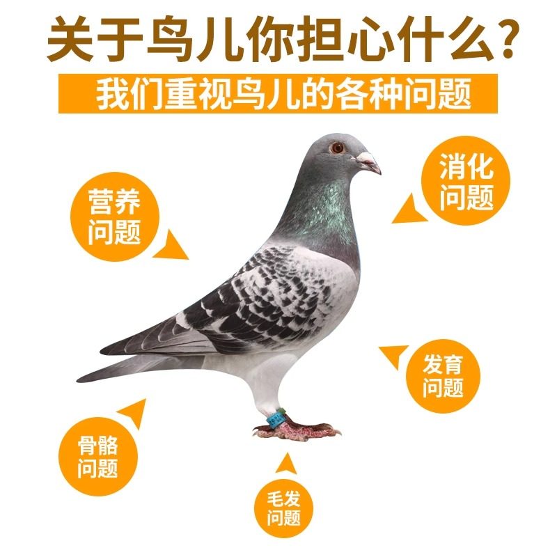 德飞尔鸽子保健砂鸽用高钙营养红土补钙信鸽赛鸽饲料鸽粮鸽子食粮,淘宝优惠券,粉丝福利购,淘宝优惠卷