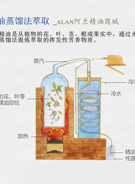 纯陈皮精油50ml橘子皮精油桔子皮油助消化天然单方净化空气驱猫