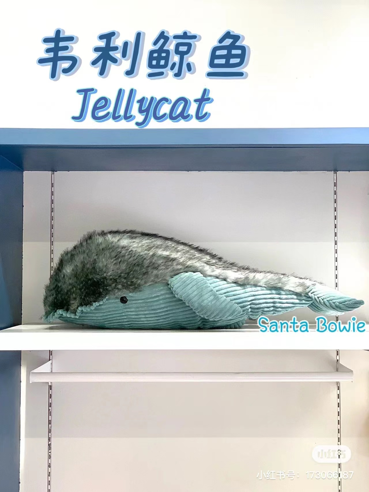 国内现货 05.14 jellycat WILEY WHALE 蓬松柔软威利鲸鱼送礼玩偶 - 图2