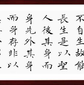 天长地久天地所以能长且久者书法