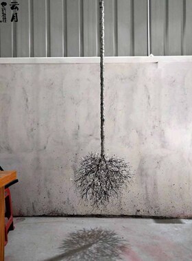 铁艺吊装新中式倒挂松针树