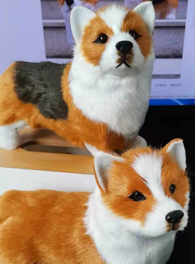 仿真柯基犬仿真玩具动物名犬玩偶家庭摆件皮毛玩具创意摆件名狗