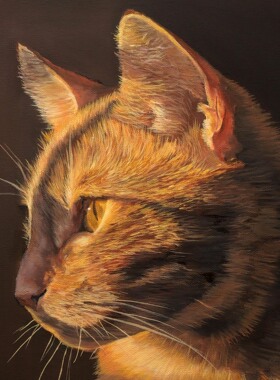 50*70cm 手绘 超写实油画 猫 动物  高端油画 LJL涂 风景 LJL涂