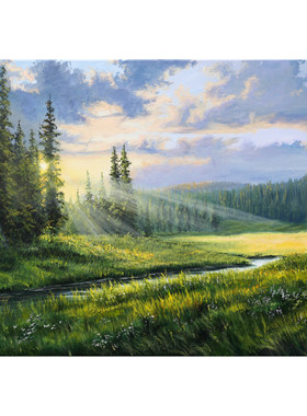 50*70cm 手绘 写实 丙烯画  山水 风景 高端油画 LJL涂 装饰画