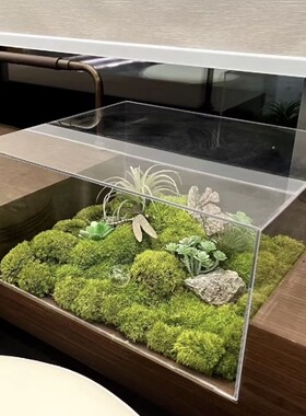亚克力永生苔藓微景观茶室办公桌面装饰会议室样板间长条桌摆件花