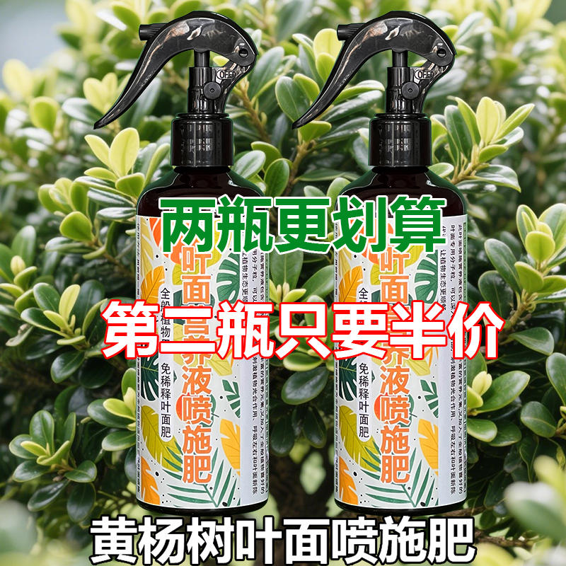 黄杨树专用肥料盆栽盆景专用土营养液干叶子发枯黄枯萎掉叶面肥料 - 图1