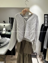 Amy Home Korea Direct mail East gate 2023 autumn winter new HAUTTE-P sweater 21240771