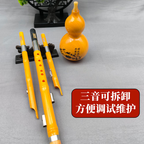 葫芦丝三音降BC调成人儿童初学者入门演奏小学生学校防摔树脂乐器 - 图1
