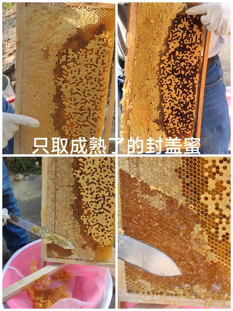 农家自养自销蜂蜜中蜂蜜土蜂蜜百花蜜农家蜜纯天然零添加美容保健-图0