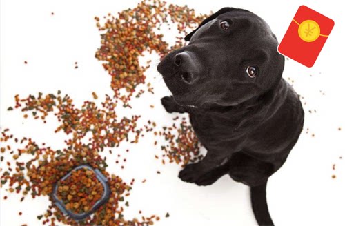 宠界自制小型犬成犬狗粮5斤 泰迪法斗低敏 天然 去泪痕美毛牛肉粮 - 图2