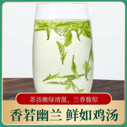 正宗明前白茶2026新茶高山绿茶毛尖嫩芽珍稀白茶散装袋装茶叶 - 图2