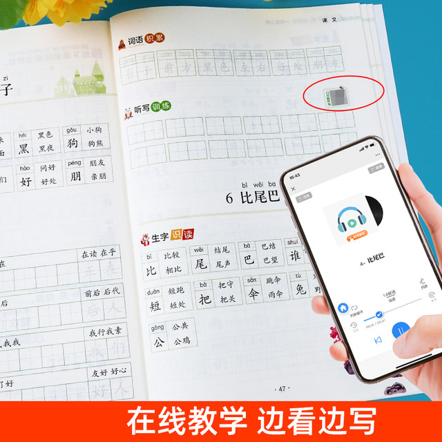 Second grade copybook practice in the upper and lower volumes. The textbook is synchronized with the copybook version of the People's Education Press. Daily practice for elementary school