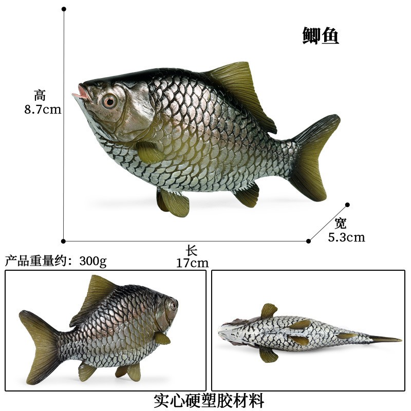 仿真动物模型海洋鱼类金鱼食人鱼飞鱼河豚鱼石头鱼蝴蝶鱼儿童玩具 - 图2