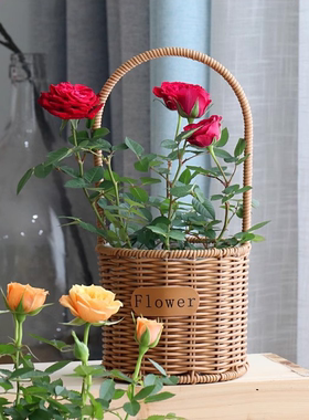 网红编织花盆仿藤编花篮插花鲜花绿植盆栽多肉养植简约圆形手提篮