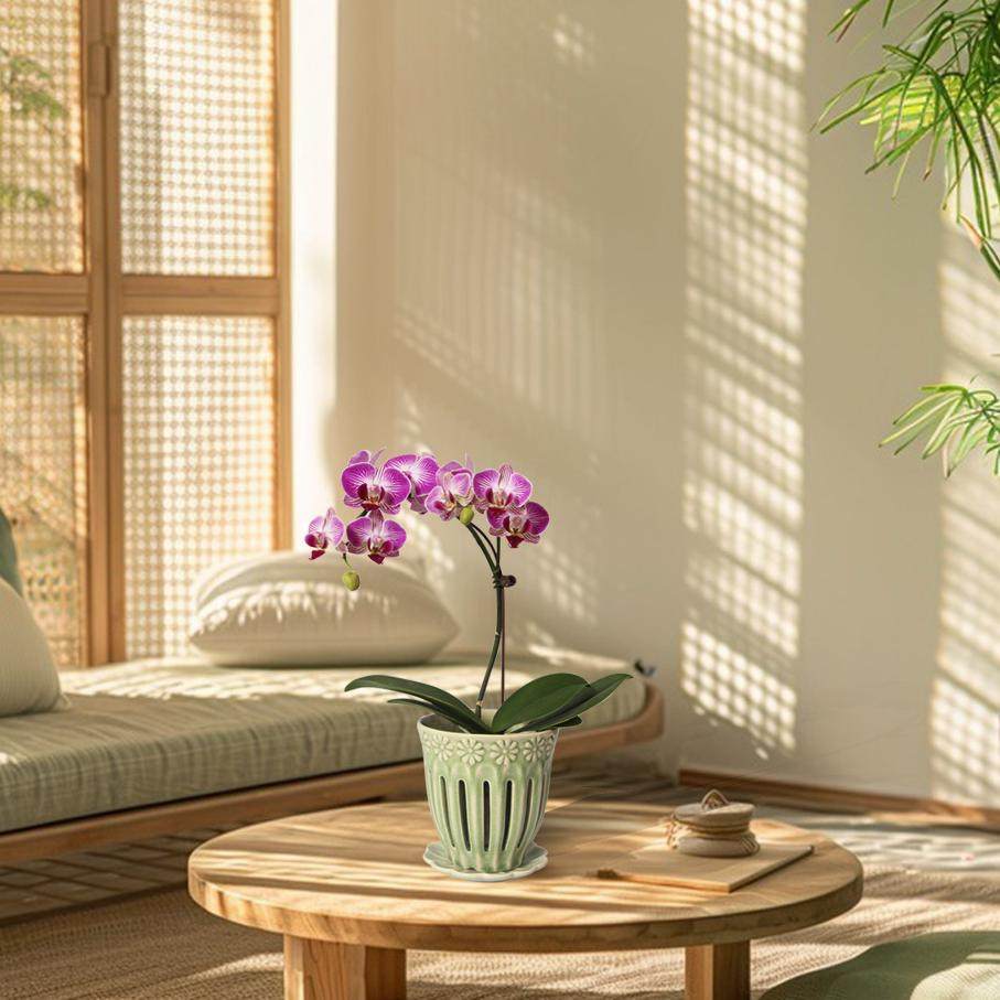 浮雕陶瓷盆蝴蝶兰高级复古花盆镂空透气盆蝴蝶兰复花专用盆送托盘,淘宝优惠券,粉丝福利购,淘宝优惠卷