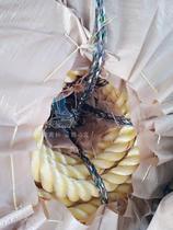 High strength cable nylon rope cable for three strands of polyethylene cable marine