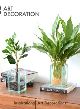 高仿真花艺水培植物样板房间家具