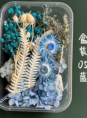 盒装干花 蓝色系紫色系 可配包装纸信封 盒子尺寸16*11cm