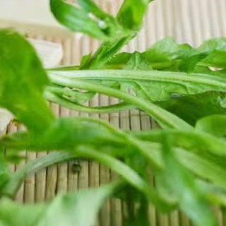 云南新鲜荠菜5斤 鲜荠菜现挖野生荠菜野菜白花饺子馅应当季鲜蔬菜 - 图2