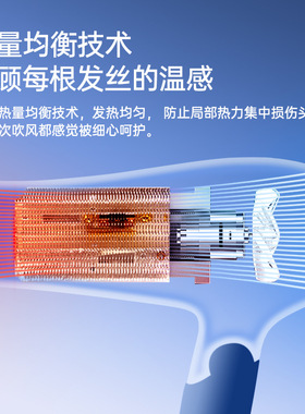 飞科电吹风恒温护发家用大功率2000W可折叠发廊宿舍吹风筒FH6232
