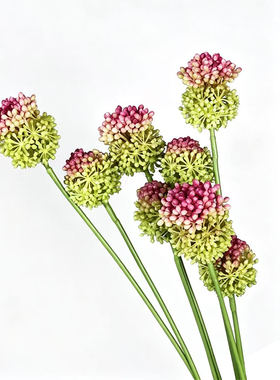 仿真果枝2头葱球侘寂风插花配花