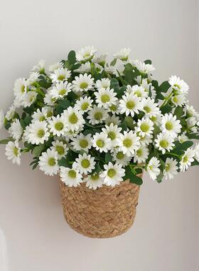 田园清新小菊花邹菊波斯菊绢花仿真花束阳台盆栽花家居客厅摆放花