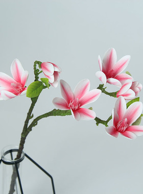 高品质过胶6头白玉兰餐桌仿真花