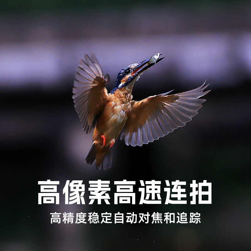 [上海自提] 佳能 EOS R6 Mark III r63 微单相机 R63 佳能r6三代 - 图3