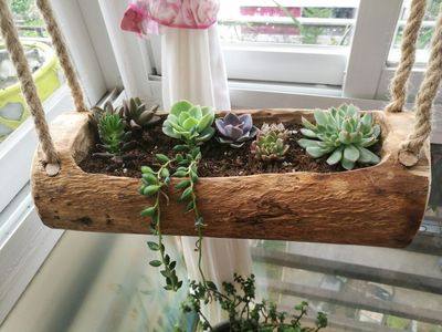 加装挂绳支架专拍 不含木头花盆 老木槽花盆 专配实木架木墩定制,淘宝优惠券,粉丝福利购,淘宝优惠卷