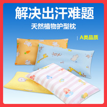 Childrens pillow buckwheat Seasons Special 1 baby 2 Baby pillows 3 months 6 years 6 years old freshman 7 Kindergarten child