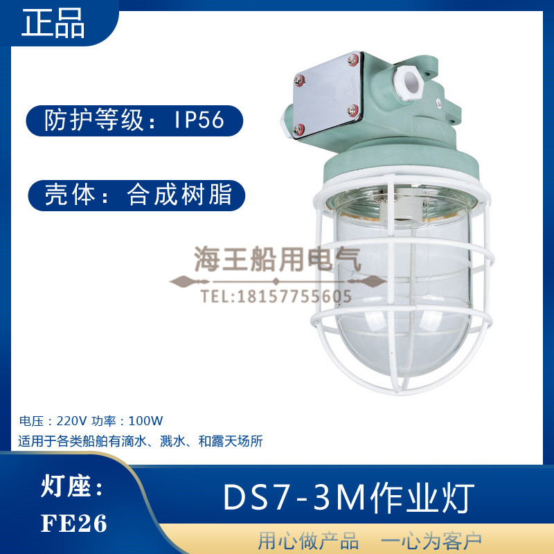 船用吸顶式水密白炽作业灯DS7-3M舱顶灯防水炉舱灯管弄灯100W220V