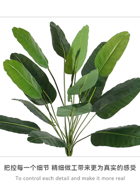 仿真绿植蕨类植物墙隔断造景假花草插花装饰花绿草单枝塑料花