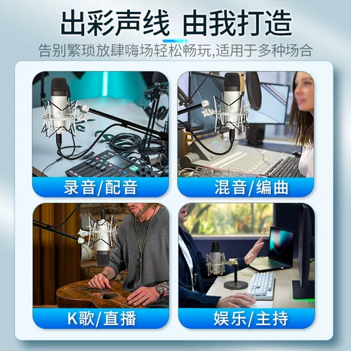 Samson Shanxun C01 Dakuka Concacitor Microphone C03 Запись Dubbing Exper K Song Live Micro