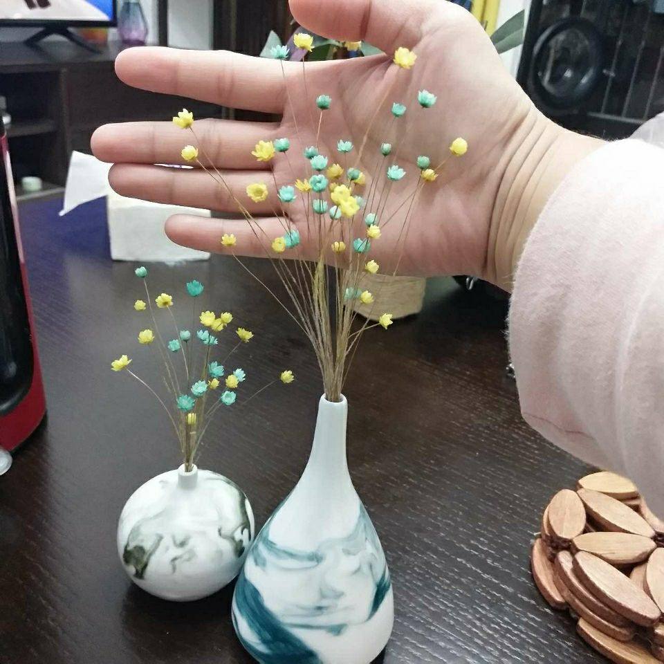 巴西小星花滴胶口红制作材料迷你小雏菊干花天星菊超小装饰插花瓶,淘宝优惠券,粉丝福利购,淘宝优惠卷