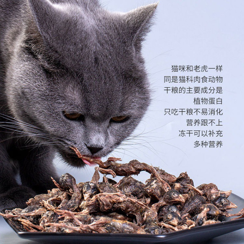 冻干鹌鹑猫咪冻干小鹌鹑猫零食增肥幼猫成猫营养宠物冻干狗狗零食 - 图3