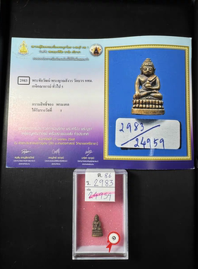 山卡拉杨 2540小模药师佛 萨玛空比赛第一 有比赛证书 泰国佛牌