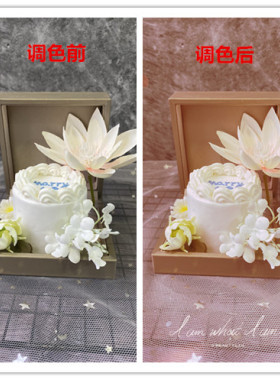 迷你蛋糕模型影楼拍摄道具橱窗