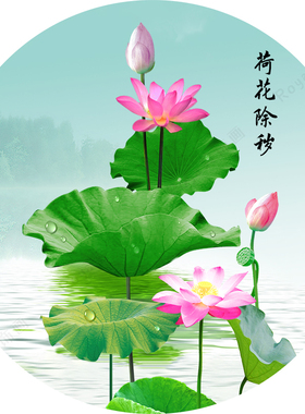 荷花图卫生间专用贴画化污为财