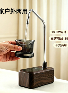 自动上水充电干充两用便携抽水器