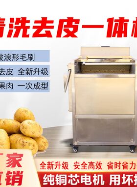 土豆清洗去皮机毛刷萝卜