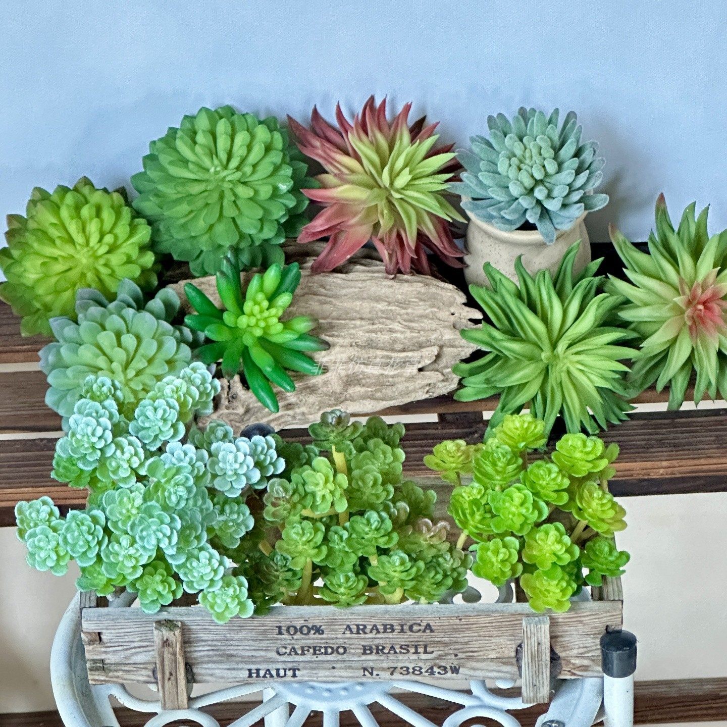 仿真多肉绿植沙漠植物墙挂壁假花束绿植热带爬宠缸造景家居装饰,淘宝优惠券,粉丝福利购,淘宝优惠卷
