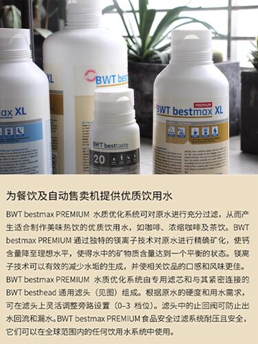BWT倍世净水器商用咖啡奶茶店自来水过滤器原装进口大流量直饮机 - 图2